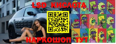 спайс Моздок
