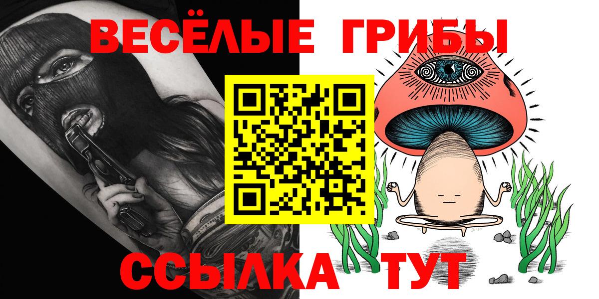 Галлюциногенные грибы Psilocybine cubensis Шелехов